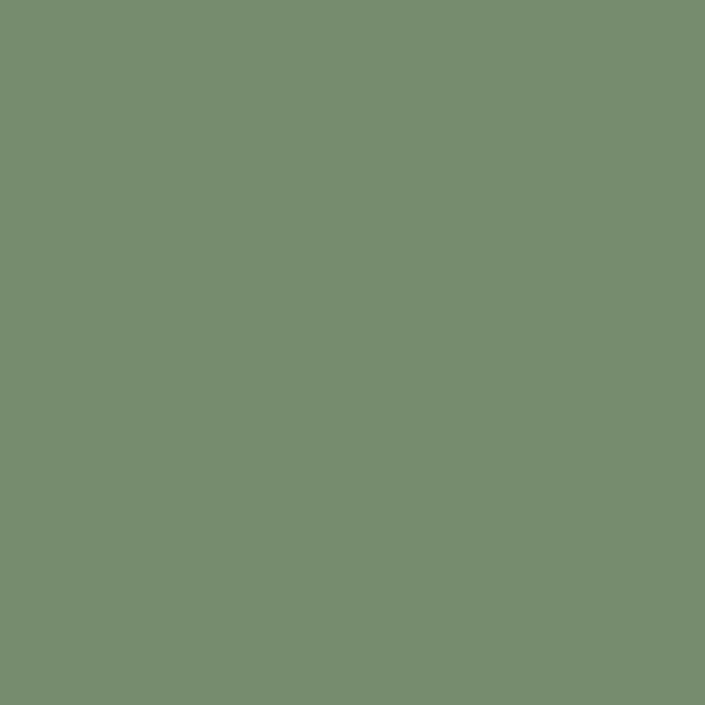 CW-520 Palace Green - Paint Color | Palmer Ace Hardware