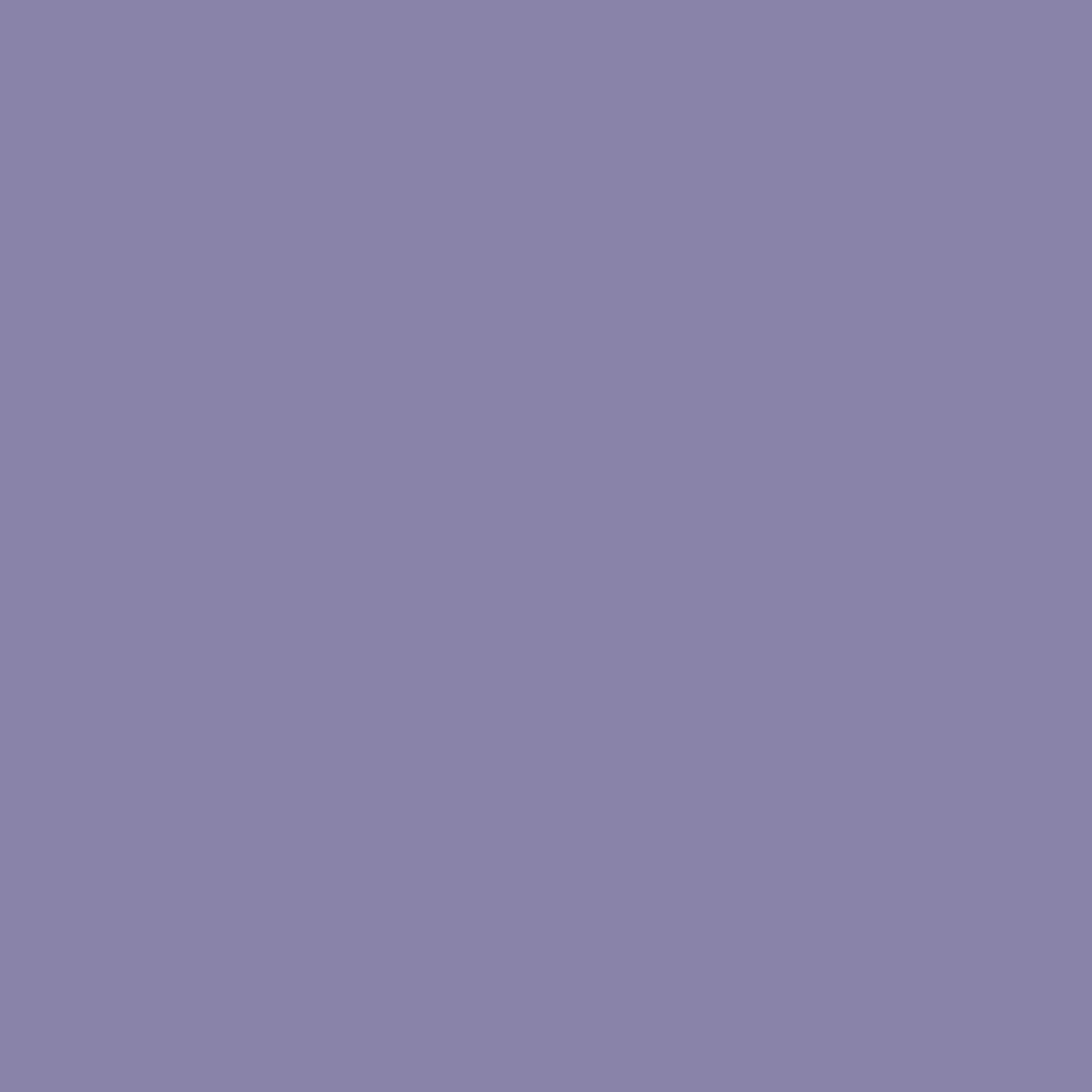 その他 purple number7 spring 2001 Purple magazine - special New Jersey - number 7 spring 2001