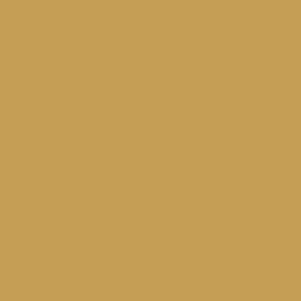 C59E55_1024x.png?v=1611607383