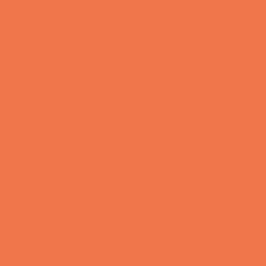 084 Fiesta Orange - Paint Color