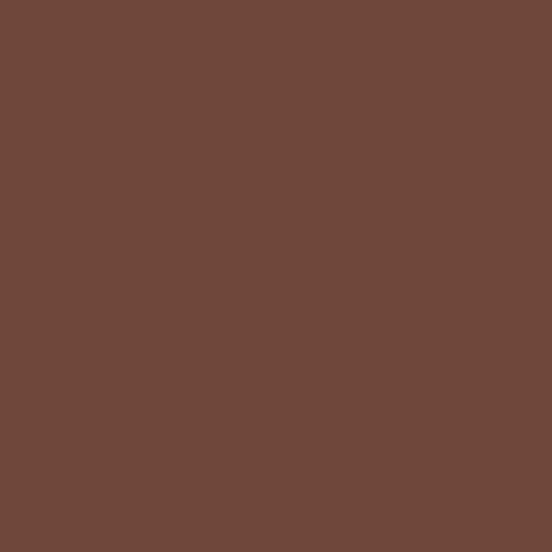 2102-10 Earth Brown - Paint Color