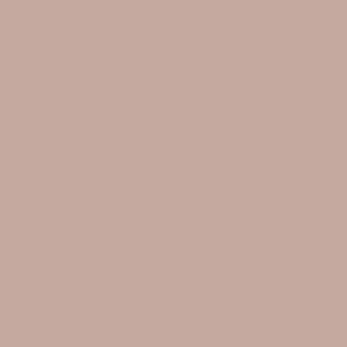 2099-50 Café Mocha - Paint Color | Palmer Ace Hardware