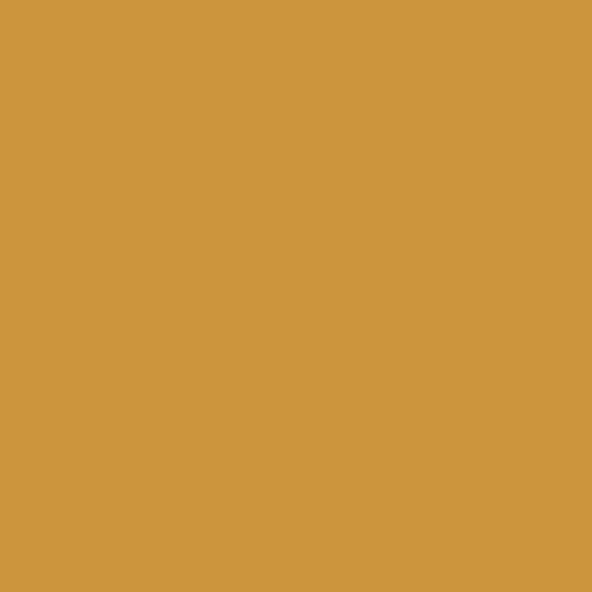 2154-20 Spicy Mustard - Paint Color | Palmer Ace Hardware