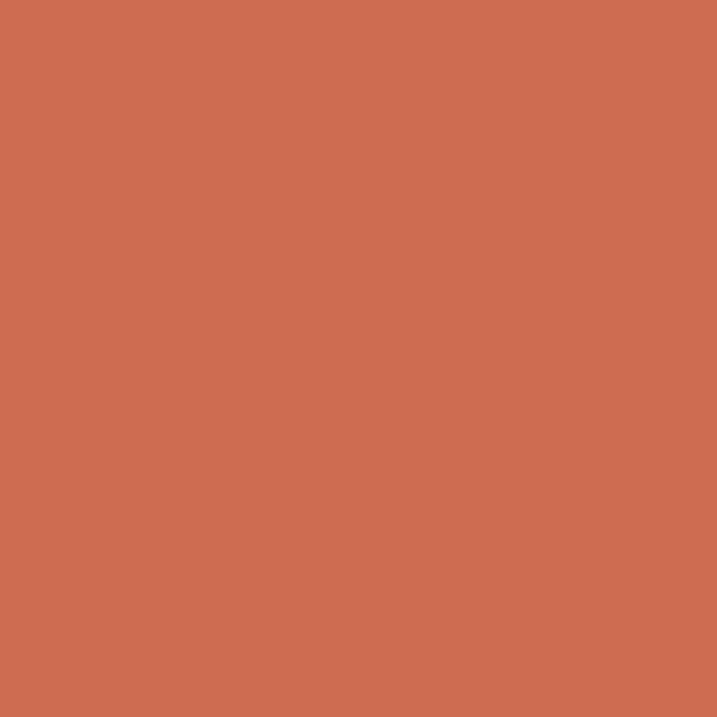 028 Rich Coral Paint Color Palmer Ace Hardware