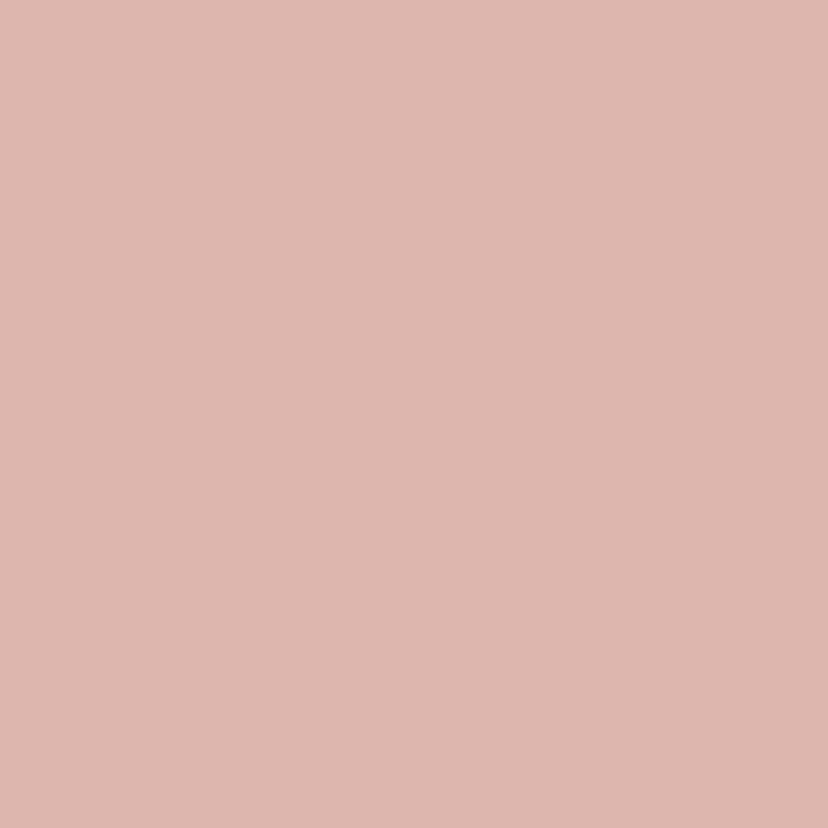 2094-50 Desert Rose - Paint Color | Palmer Ace Hardware
